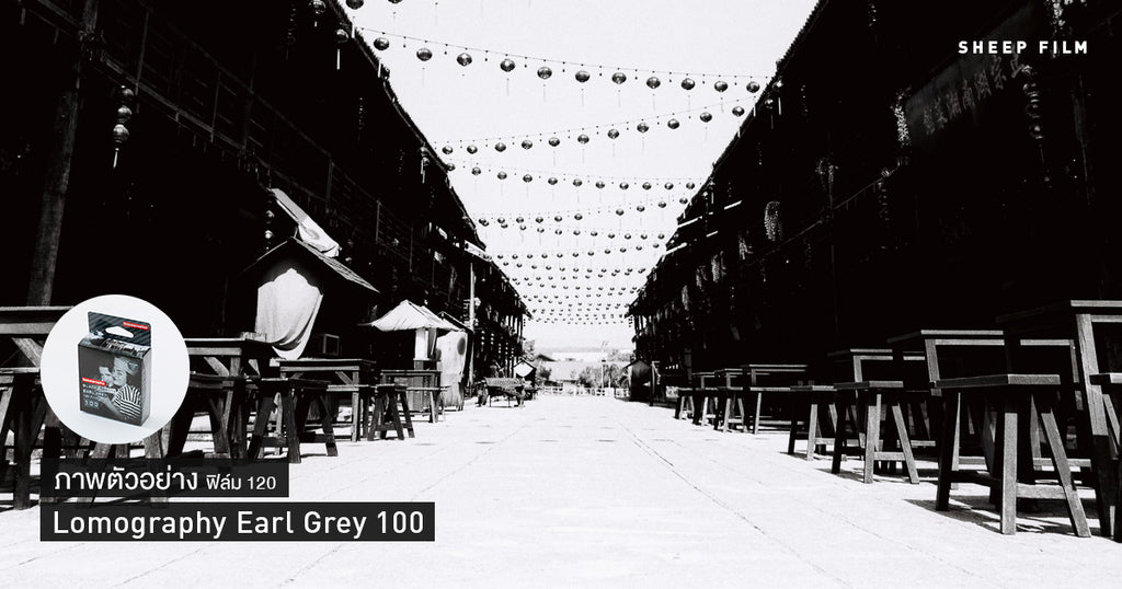 [120 film] ภาพตัวอย่าง Lomo Earl Grey 100