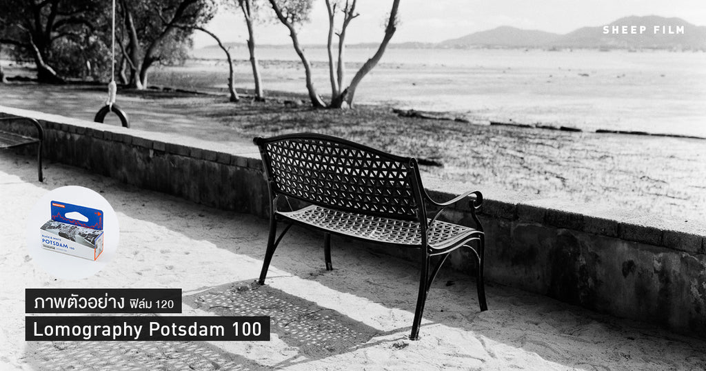 [120 film] ภาพตัวอย่าง Lomo Potsdam 100