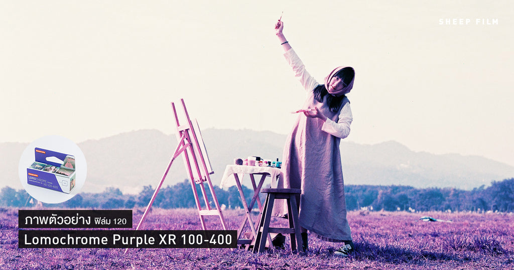 [120 film] ภาพตัวอย่าง Lomochrome Purple