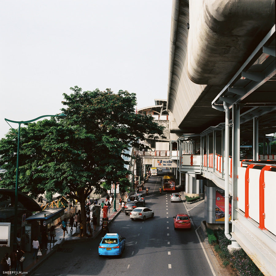 Kodak Ektar 100 120 Film (Expired 05/2025) Sheep Film