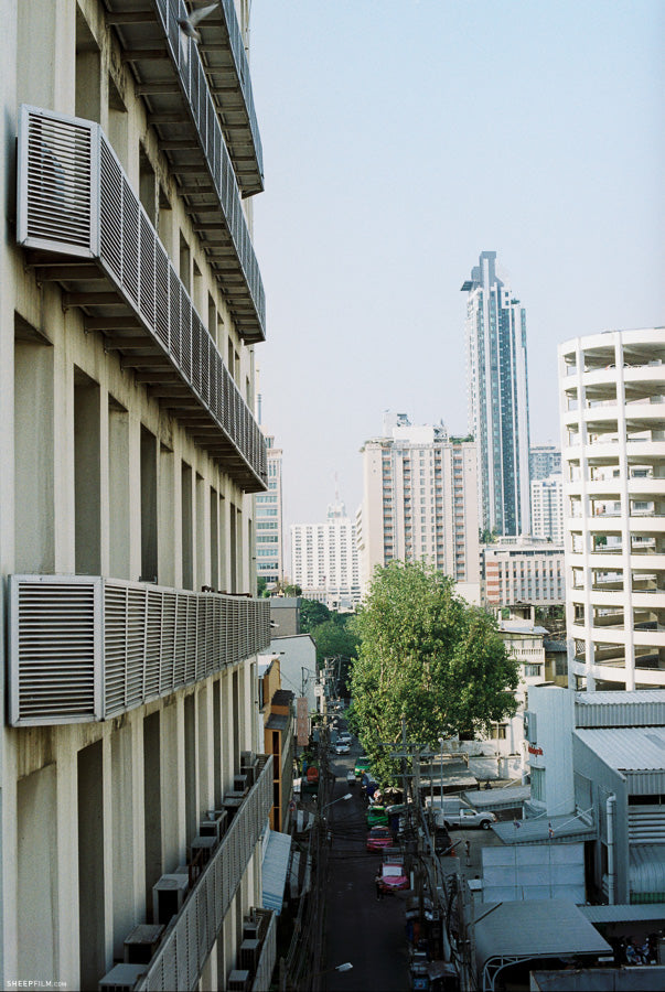 Kodak Gold 200 36 รูป [แพ็ค 3 ม้วน]