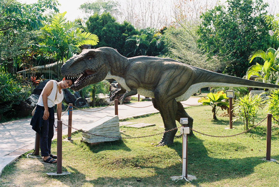 Kodak Ultramax 400 36 รูป [แพ็ค 3 ม้วน]